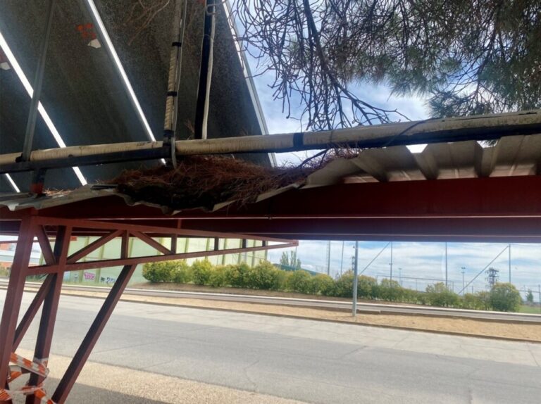 Tejadillos en mal estado en el Polideportivo Municipal
