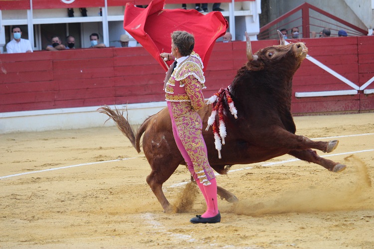 Mejores momentos de la corrida de toros Medina del Campo