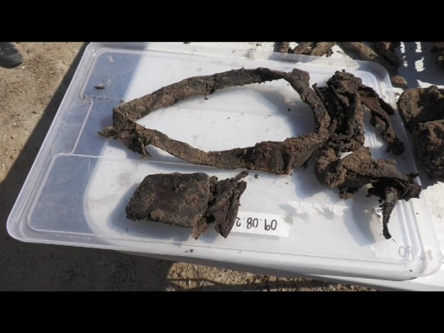 Medina del Campo -Última hora || Se retoma la exhumación en «El Pozo» de la Casa de los Alfredos