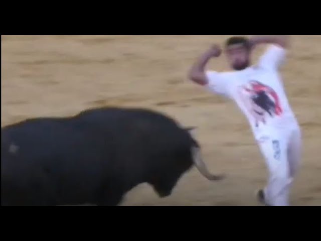 Cara y cruz del Concurso Nacional de Cortes -Imágenes puede herir la sensibilidad del espectador