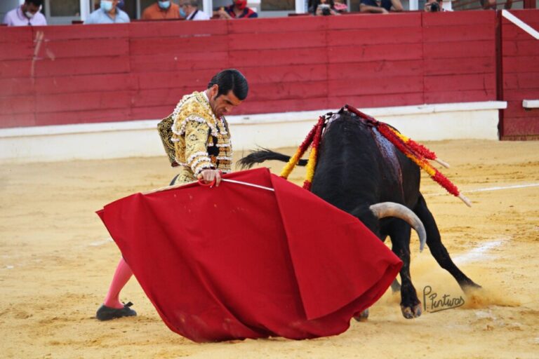 Medina del Campo: Entre taurinos y anti-taurinos lo único que queda es la libertad de expresión
