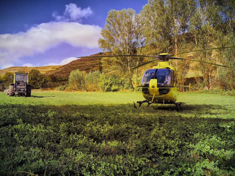 Trasladado en helicóptero medicalizado tras recibir múltiples picaduras de avispa