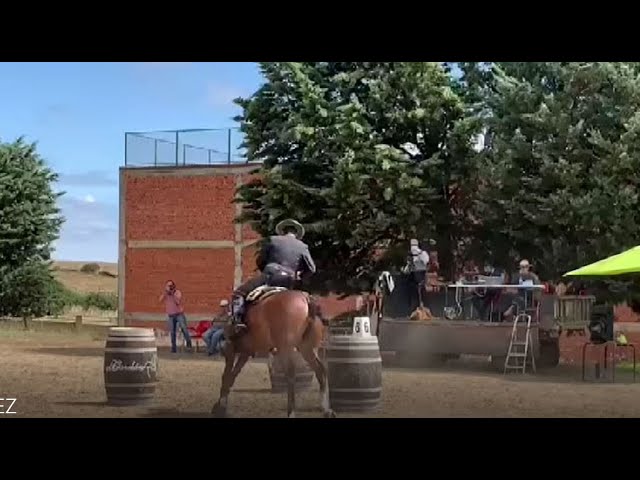 Campeonato y Copa de España de Equitación de Trabajo – Ciudad Rodrigo 17,18 y 19 de Septiembre