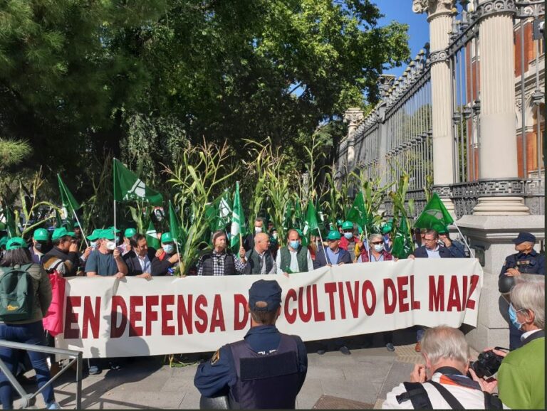 Los agricultores de maíz protestan en Madrid por las restricciones de la nueva PAC