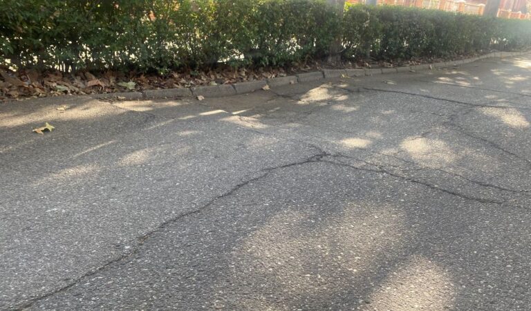 Hundimientos en la calle Logroño