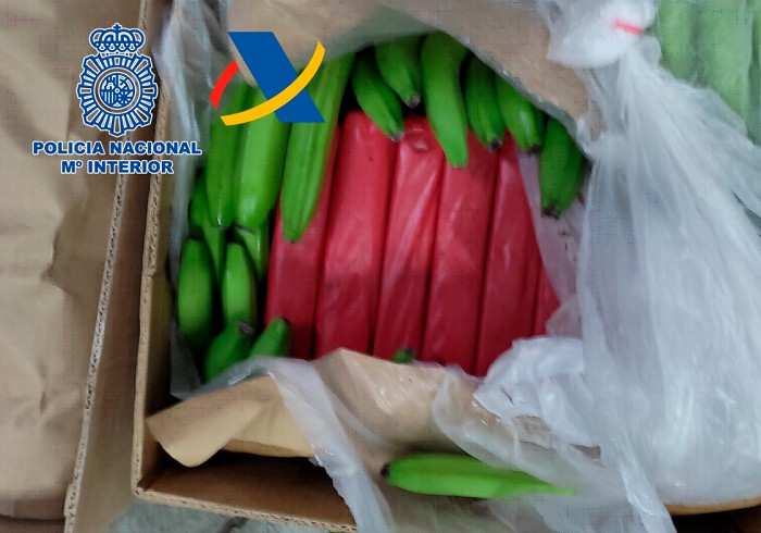 Intervenidos 1.152 kilogramos de cocaína ocultos entre mercancía legal de plátanos