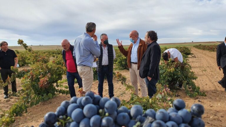 Castilla y León exporta anualmente 36 millones de litros de vino por un importe de 215 millones de euros