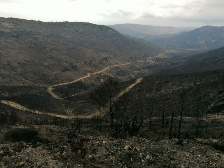 El Juzgado archiva la investigación abierta por el incendio forestal ocurrido en agosto en la Sierra de Ávila
