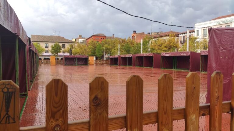 Propuesta para la creación de la primera Feria del Libro en Medina del Campo