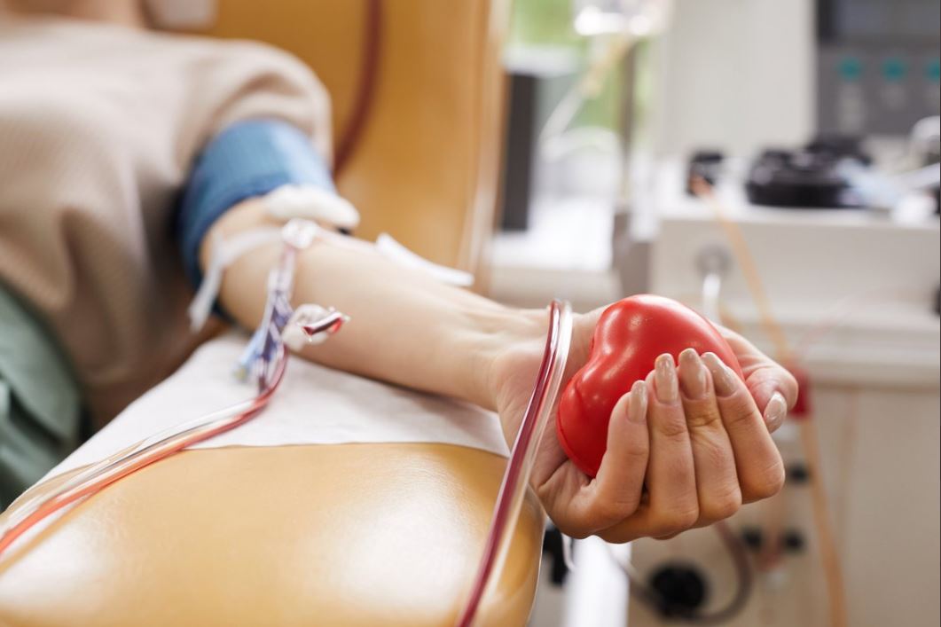Sangre donación en Castilla y León