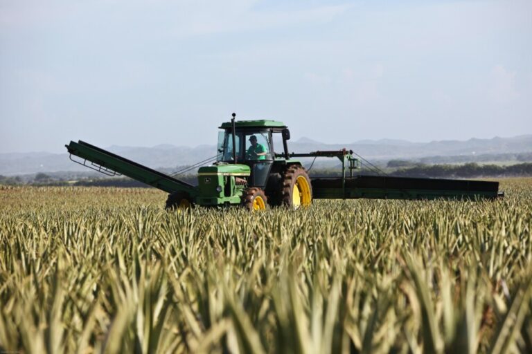 agricultura en Castilla y León