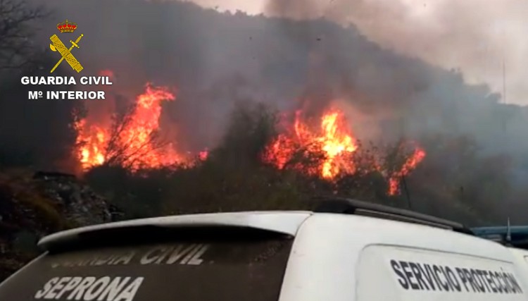 La Guardia Civil detiene e investiga a más de 300 personas por delitos de incendios forestales