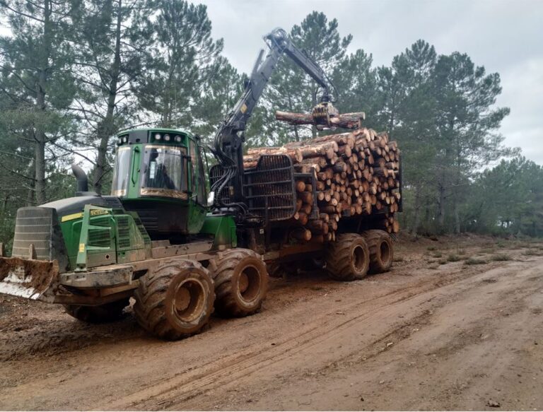 La Junta subasta 48.000 toneladas de madera por 1.708.420,55 euros
