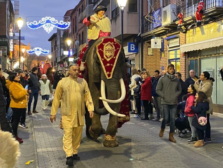 Medina del Campo apuesta de nuevo por una cabalgata de «animales exóticos» con un elefante como protagonista