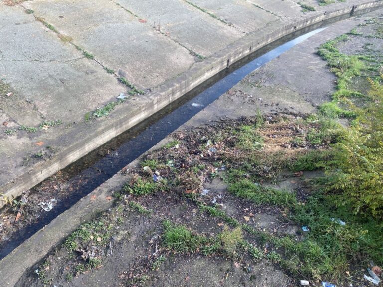 Malos olores frente al río Zapardiel
