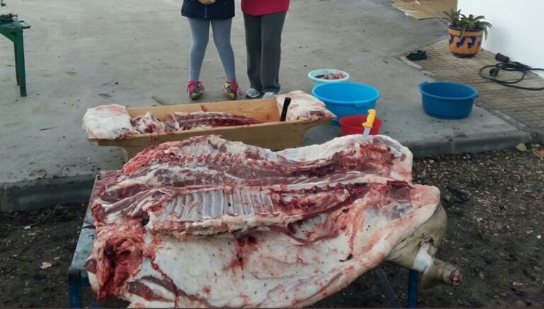 La Junta ha autorizado a diez veterinarios en Valladolid para el control de la campaña de las matanzas domiciliarias