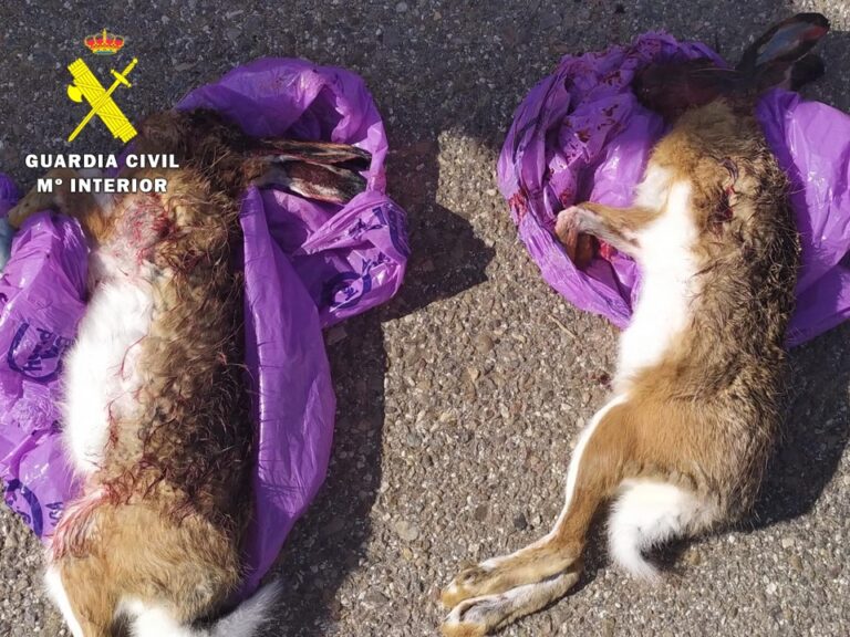 La Guardia Civil investiga a un furtivo por abatir ilegalmente dos liebres y una perdiz