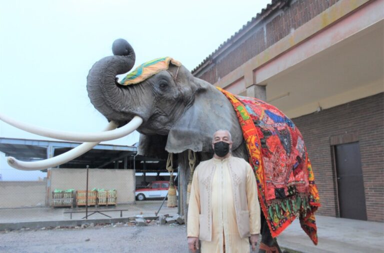 «He dedicado mi vida a esta elefanta, son 38 años los que lleva conmigo»