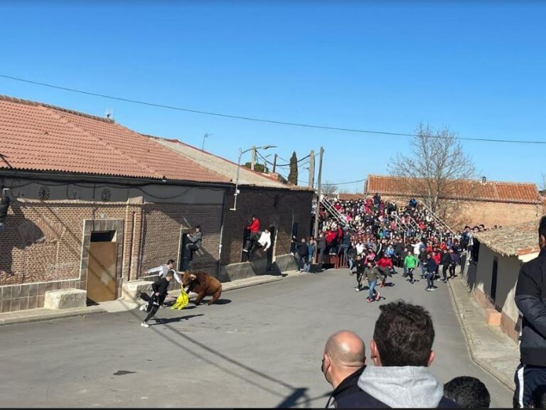 Los toros vuelven a correr por las calles de Bobadilla del Campo