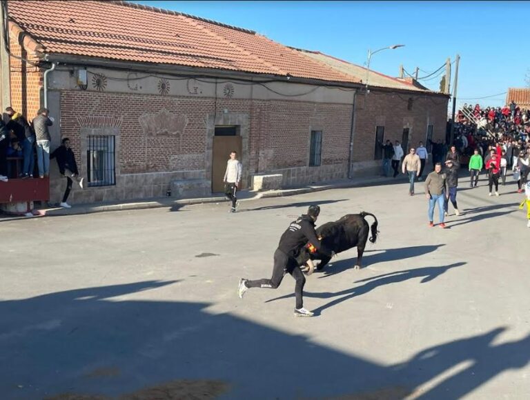 Bobadilla del Campo abre boca antes de sus fiestas con una capea