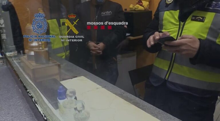 Ingresan en prisión siete de los ocho miembros de un grupo criminal muy activo que robaba en domicilios de diferentes puntos de España
