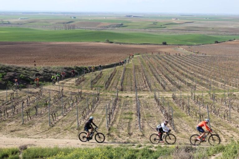 El abulense David García gana la ‘Marcha MTB Valle del Zapardiel’