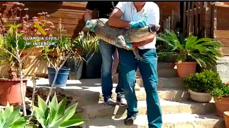 La Guardia Civil procede a la incautación de 439 especies en una finca privada