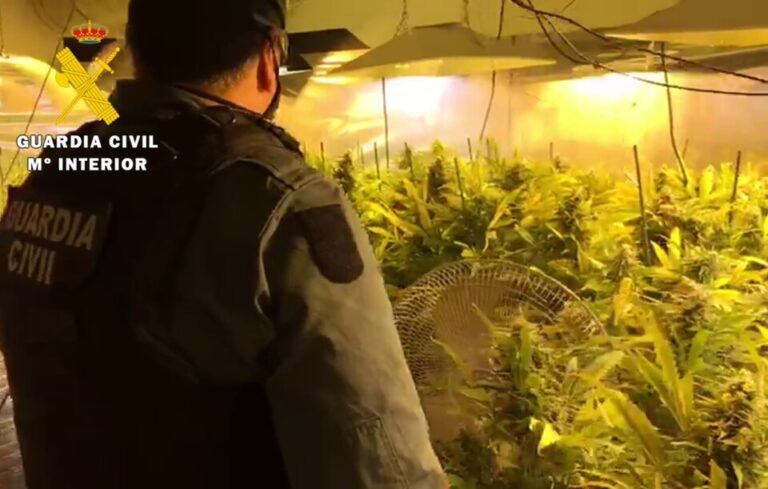 La Guardia Civil desmantela una plantación ‘indoor’ de marihuana en el Valle de Mena