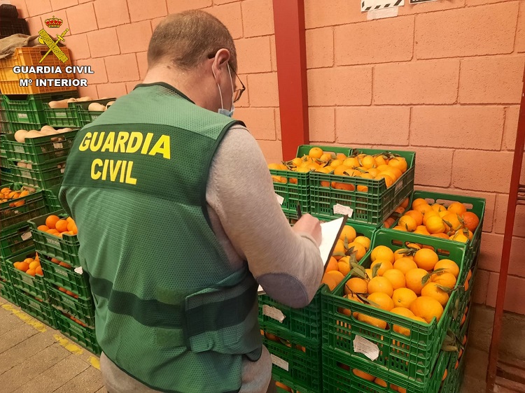 Intervenidas 20 toneladas de naranjas contaminadas con un plaguicida prohibido