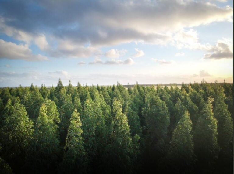 La Fundación Patrimonio Natural se une al proyecto LIBERA para luchar contra la basuraleza