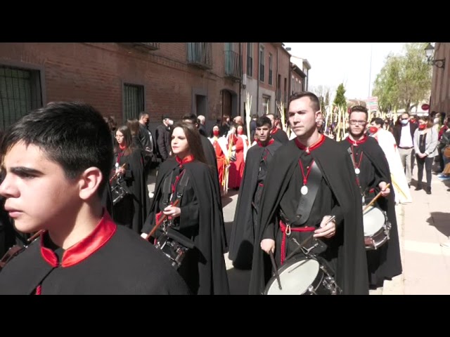 Procesión de la Borriquilla – Semana Santa 2022 – Medina del Campo