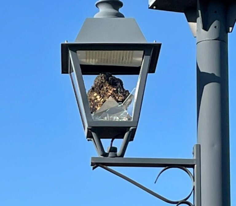 Actos vandálicos en el carril bici de Medina del Campo con la rotura de casi 30 farolas