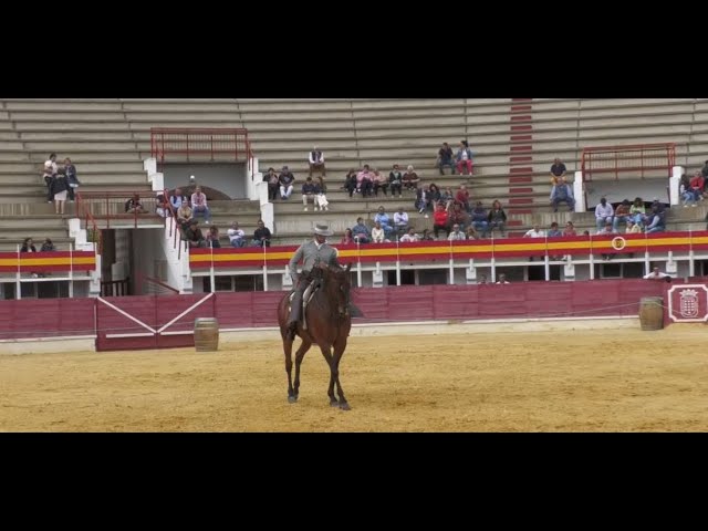 Campeonato Territorial de Doma Vaquera en Medina del Campo