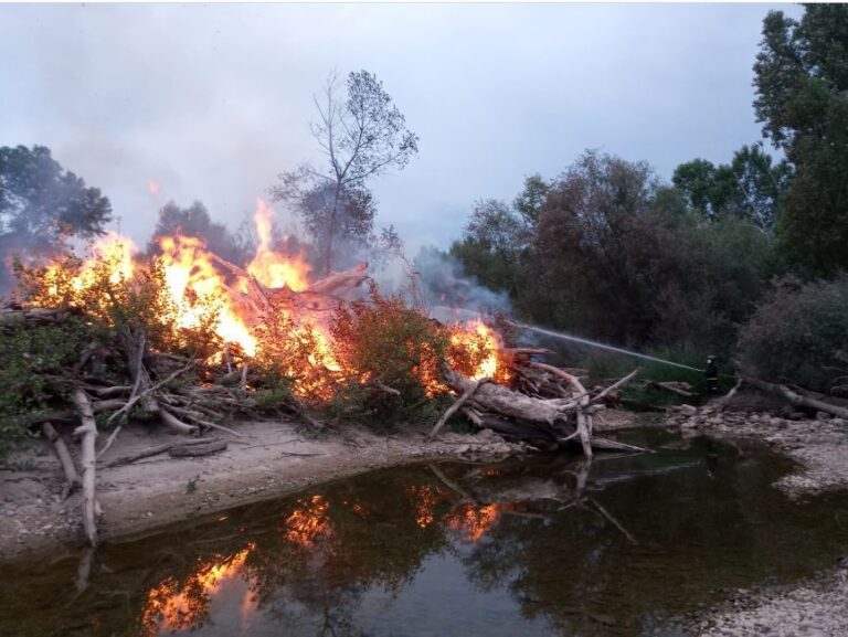Los bomberos apagan un incendio en la ribera del Pisuerga