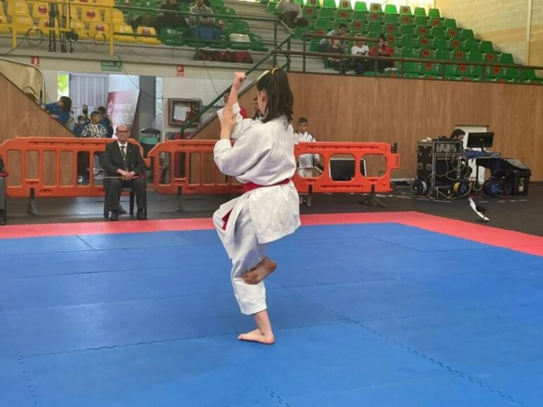 Los jóvenes del Budokán se preparan para el Campeonato Provincial de Edades