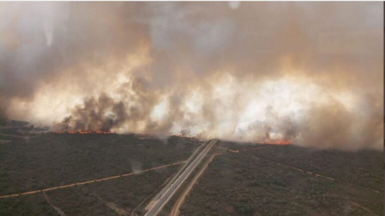 Mañueco anuncia un millón de euros en ayudas para los ganaderos afectados por los incendios en la Sierra de la Culebra y en Losacio