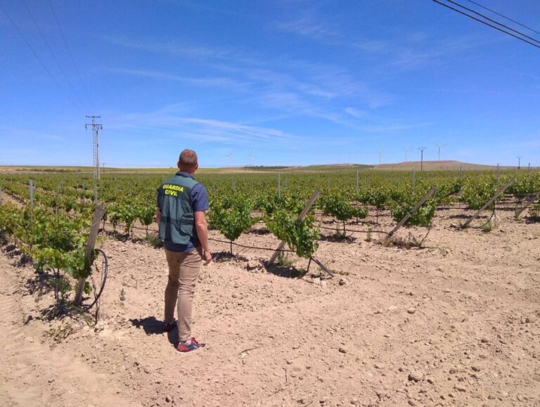 Desarticulan red de explotación laboral en Soria: Detenidas seis personas e investigadas otras cuatro
