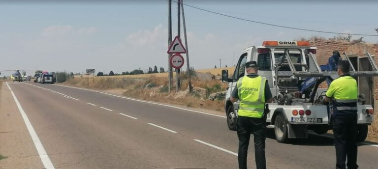 Castilla y León a la cabeza de los siniestros viales con animales
