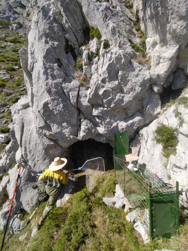 Medidas de autoprotección ciudadana en las salidas a la montaña en los días festivos y de descanso