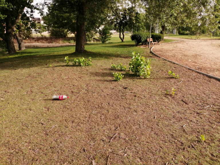 Gana Medina propone un «plan de choque» con la contratación de 25 personas para mantenimiento de parques y jardines