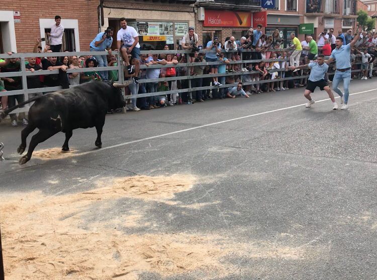 Calles llenas en Medina del Campo para ver el festejo del Toro de la Feria