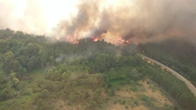 Las llamas y el humo del incendio forestal de la Sierra de la Culebra obligan a evacuar 8 municipios
