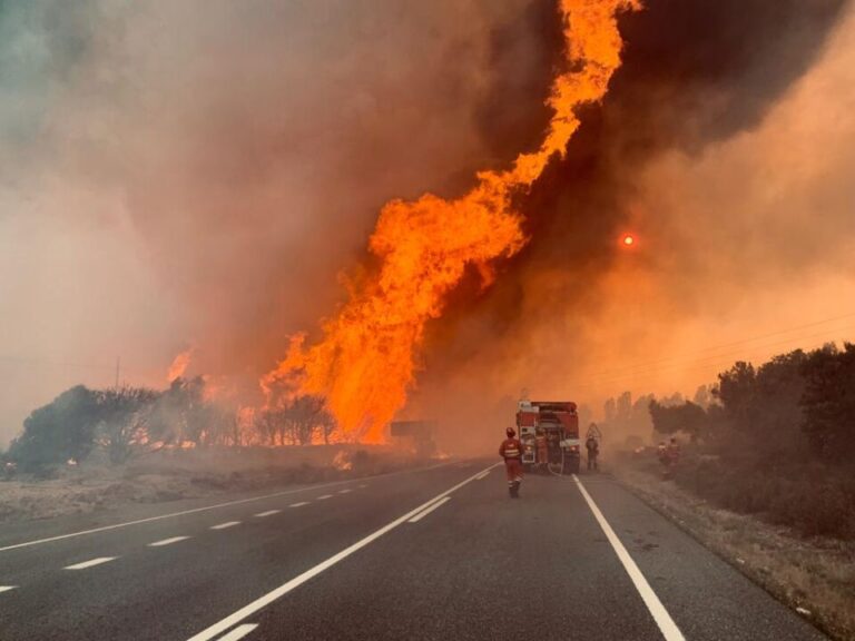 La UME continúa sumando efectivos al incendio de la Sierra de la Culebra, en Zamora, con un despliegue de 240 militares, 93 vehículos y 2 helicópteros