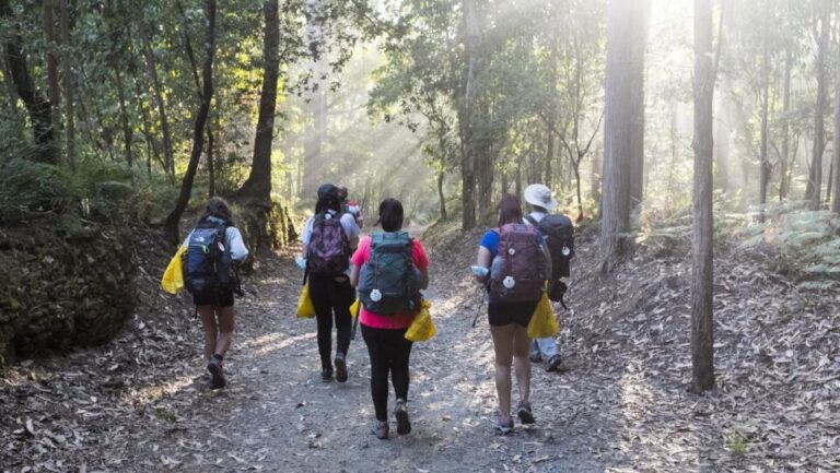 La Junta y Ecoembes desarrollan una nueva edición de ‘Camino del Reciclaje’