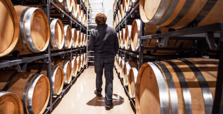 Curso gratuito de ‘Ayudante de Bodega’ en Medina del Campo