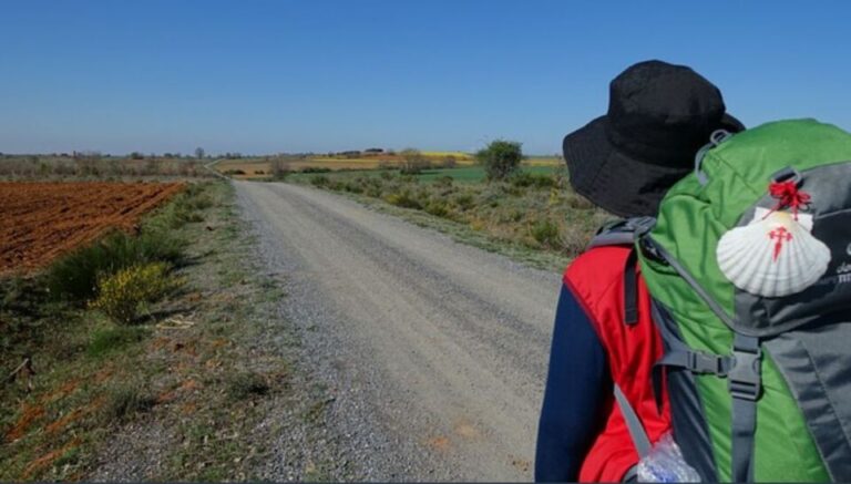 Los incendios fuerzan el cierre del Camino de Santiago en León y afectan a 14 carreteras