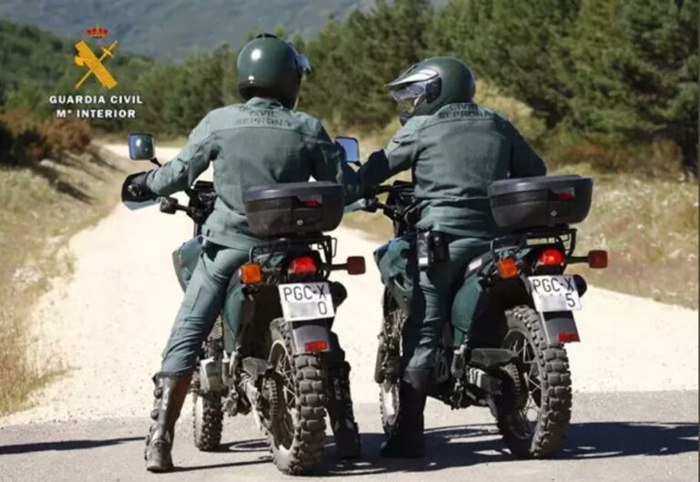 Retiran 8 perros a una persona que los mantenía en condiciones insalubres en una furgoneta