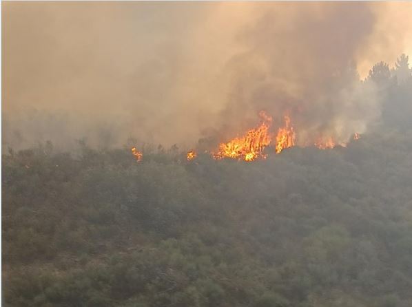 La Junta mantiene para mañana la alerta de incendios forestales por causas meteorológicas en la comunidad