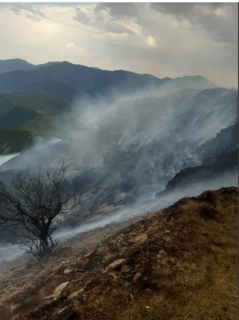 La Junta reduce el nivel de los incendios de Paradaseca y Balboa, en León