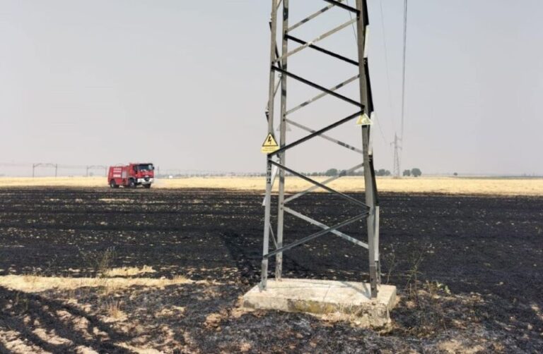 Los bomberos de Medina del Campo logran controlar un incendio de dos hectáreas en Gomeznarro